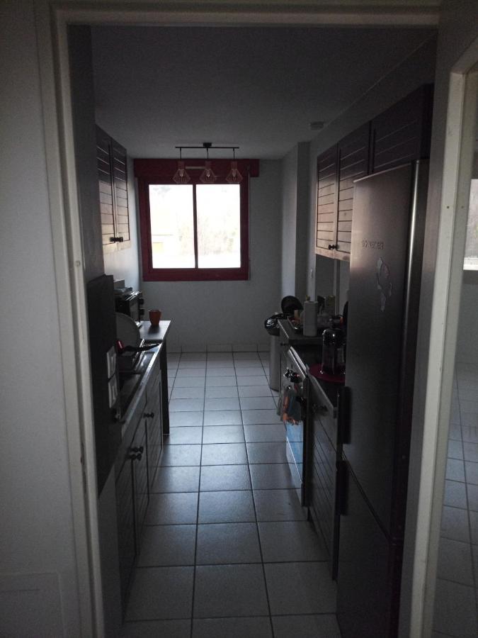 Apartamento -- Le Refuge, A 50 Metres De La Gare -- Grenoble Exterior foto